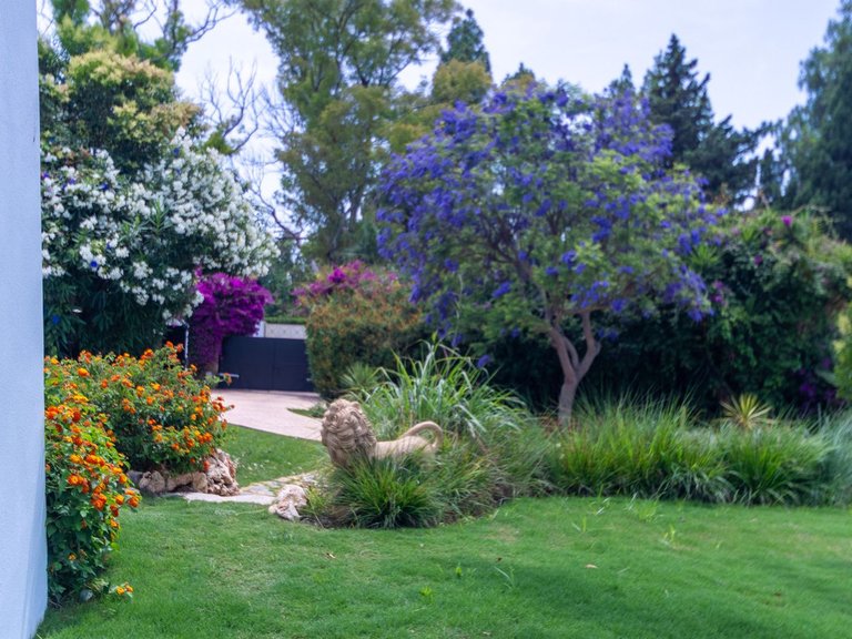 Villa for Sale in Guadalmina Baja, Malaga 63