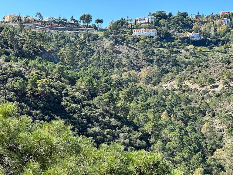 Villa for Sale in Costa del Sol El Madroñal, Malaga 27