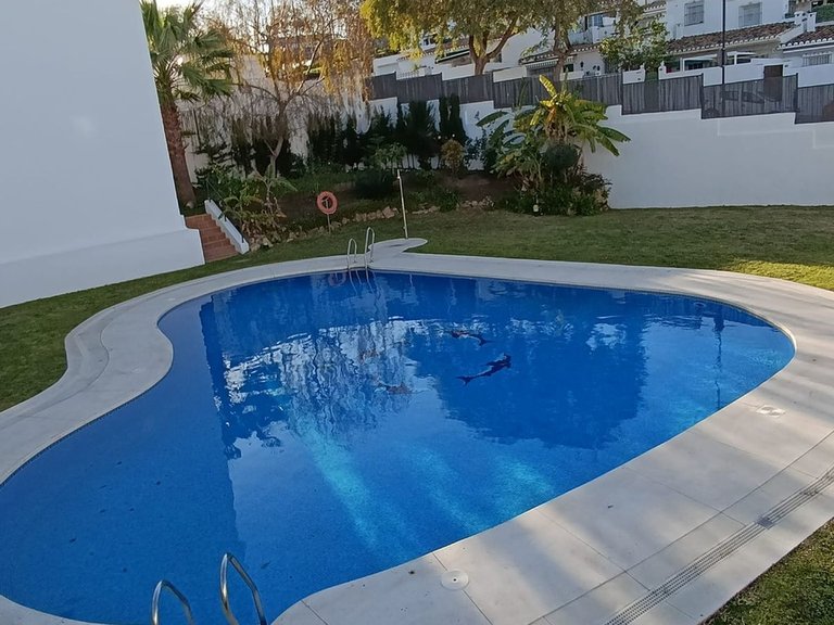 Villa for Sale in Fuengirola, Malaga 8