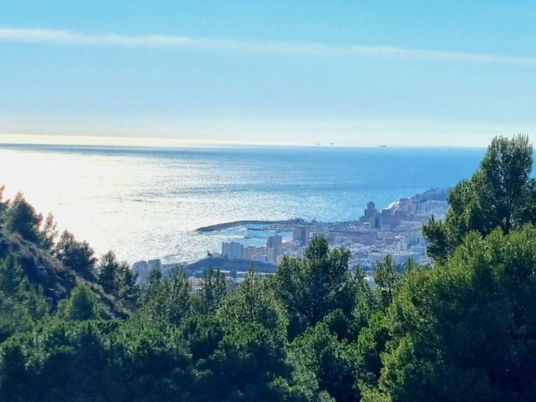 Apartment for Sale in Mijas, Malaga 32
