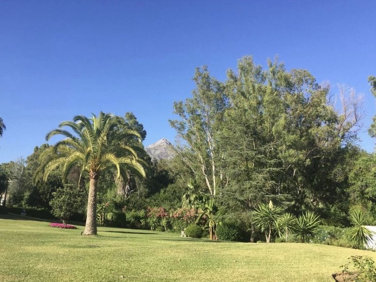 Apartment for Sale in Nueva Andalucía, Malaga 36