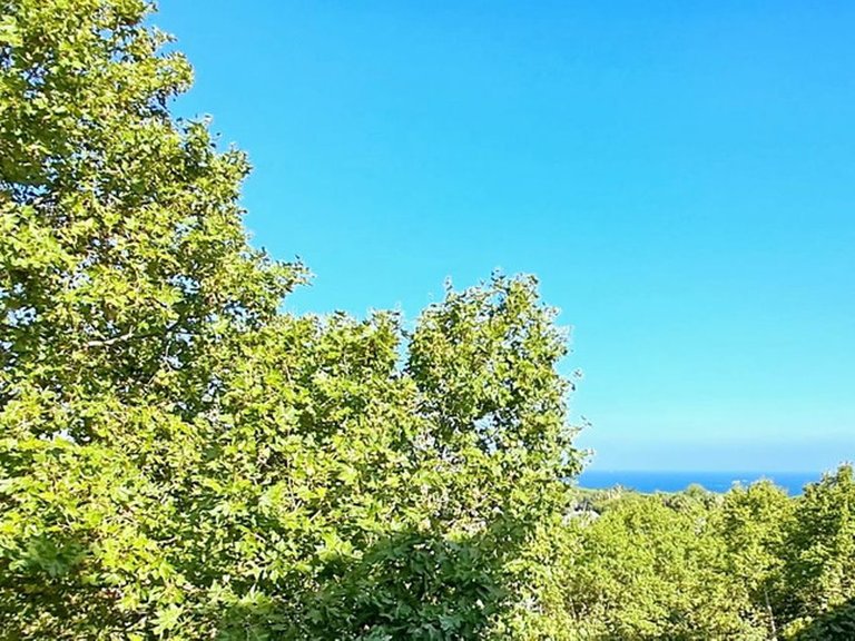 Apartment for Sale in The Golden Mile, Malaga 19