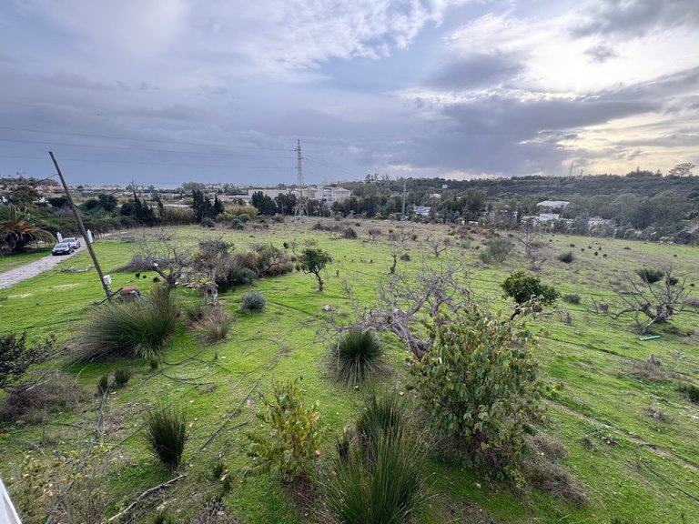 Villa for Sale in Estepona, Malaga 19