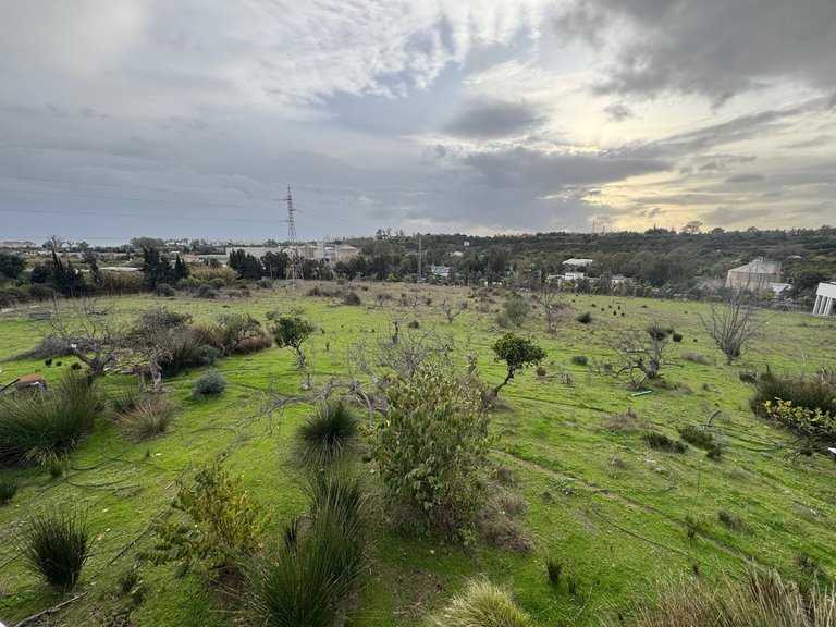 Villa for Sale in Estepona, Malaga 3
