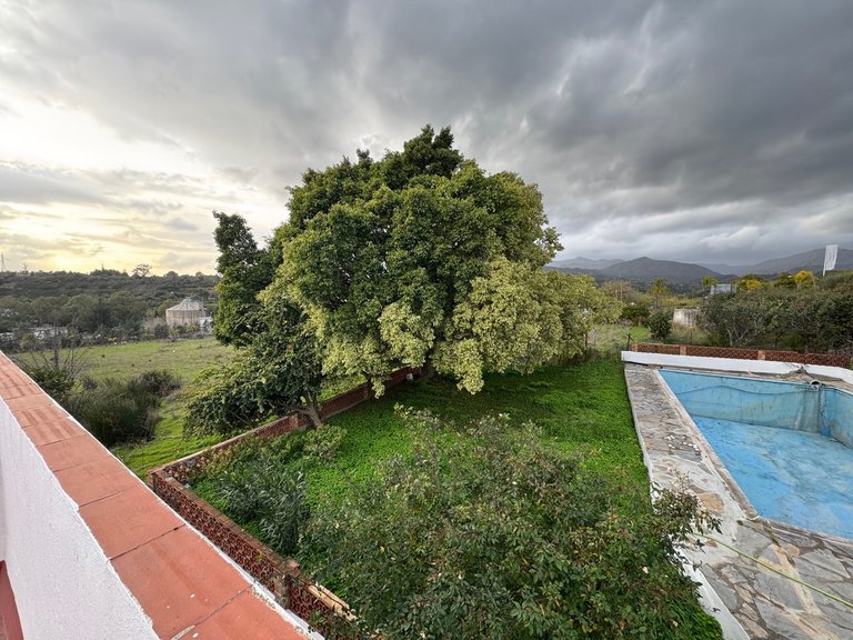 Villa for Sale in Estepona, Malaga 4