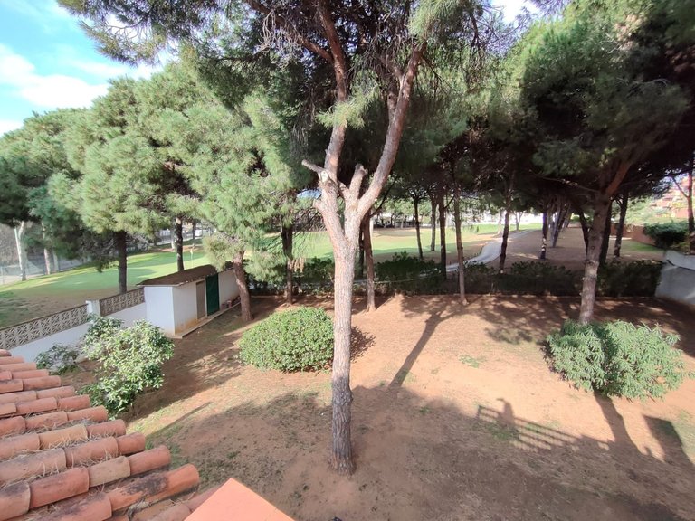 Villa for Sale in Artola, Malaga 3