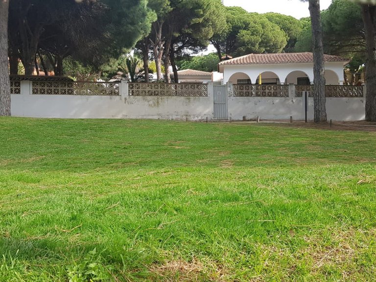 Villa for Sale in Artola, Malaga 6