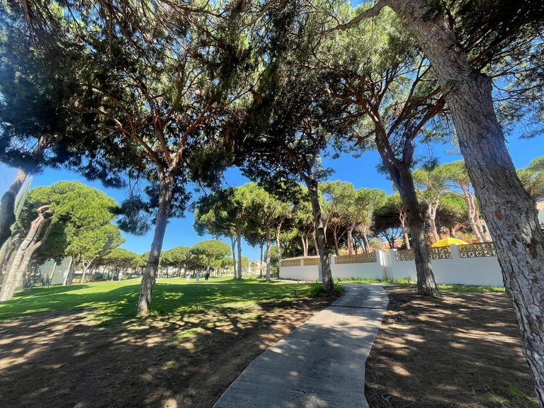Villa for Sale in Artola, Malaga 7
