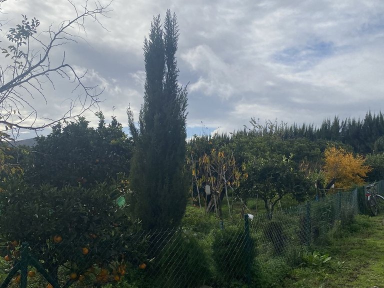 Plot for Sale in Sotogrande, Cadiz 21