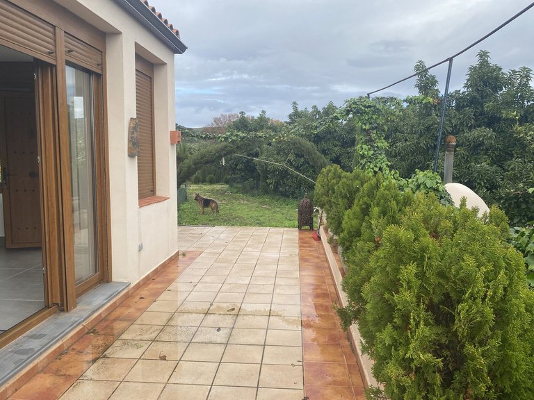 Plot for Sale in Sotogrande, Cadiz 8