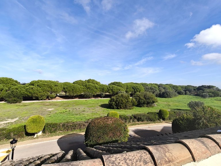 Villa for Sale in San Roque Club, Cadiz 24