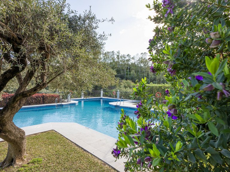 Apartment for Sale in Benahavís, Malaga 19