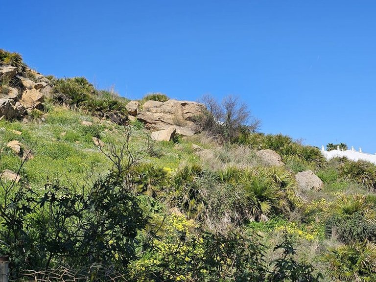 Plot for Sale in Benalmadena, Malaga 6