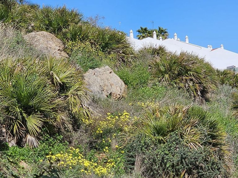 Plot for Sale in Benalmadena, Malaga 8