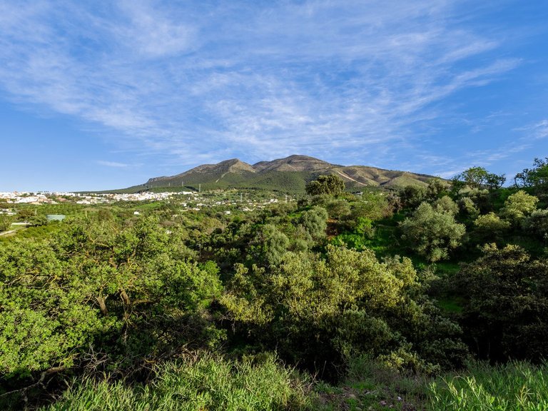 Villa for Sale in Alhaurín El Grande, Malaga 65