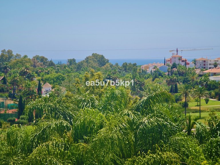 Apartment for Sale in New Golden Mile, Malaga 14