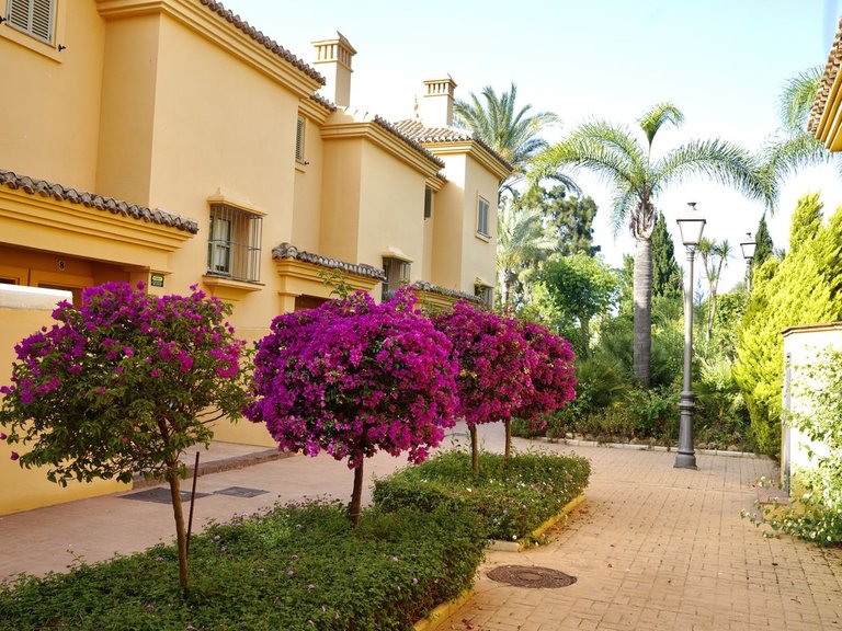 Town House for Weekly Rent in Sotogrande, Cadiz 31