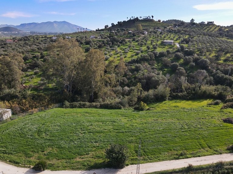 Villa for Sale in Coín, Malaga 13