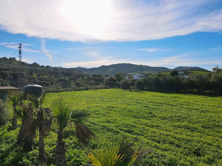 Villa for Sale in Coín, Malaga 15