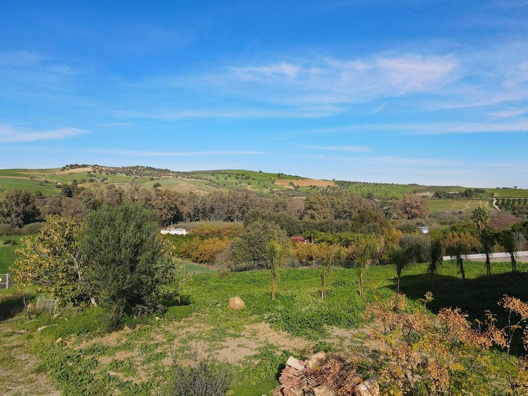 Villa for Sale in Coín, Malaga 16