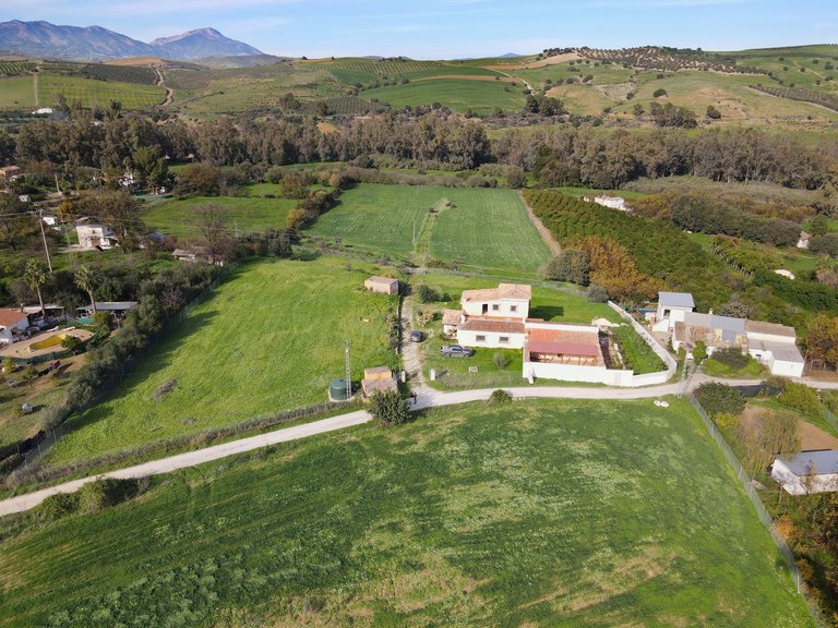 Villa for Sale in Coín, Malaga 6