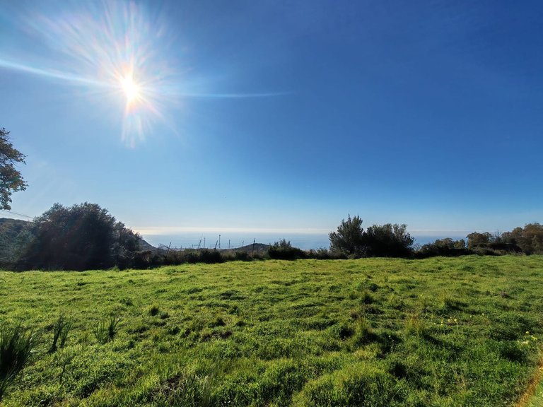 Plot for Sale in Marbella, Malaga 1