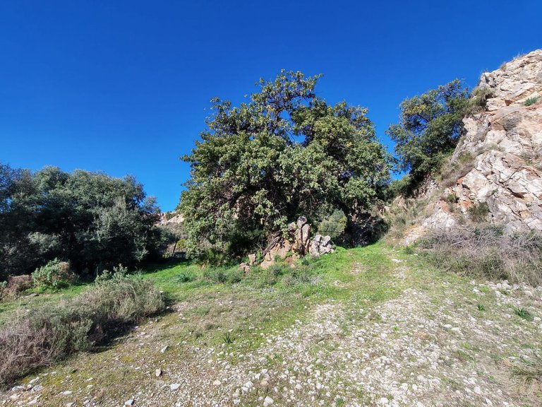 Plot for Sale in Marbella, Malaga 11