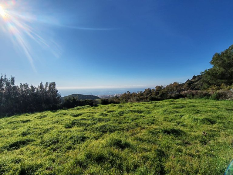 Plot for Sale in Marbella, Malaga 2