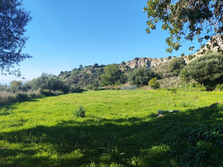 Plot for Sale in Marbella, Malaga 3