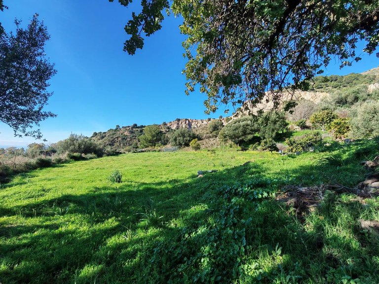 Plot for Sale in Marbella, Malaga 4