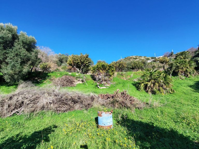 Plot for Sale in Marbella, Malaga 5