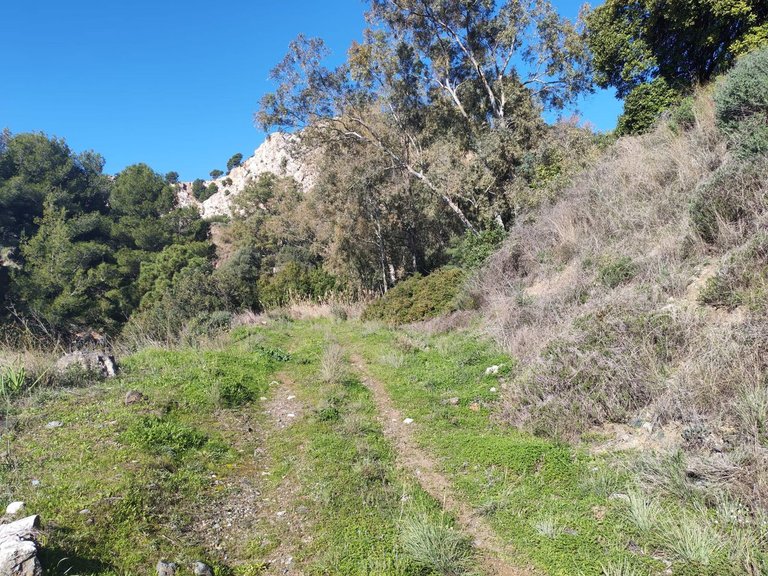 Plot for Sale in Marbella, Malaga 6
