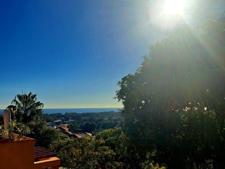 Apartment for Sale in Elviria, Malaga 22