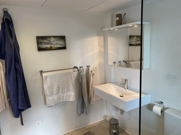 Villa for Sale in Costa del Sol Mijas, Malaga 19
