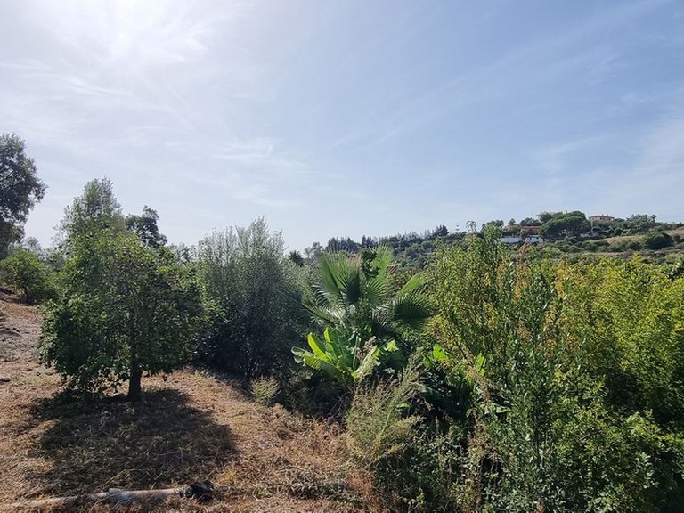 Villa for Sale in Estepona, Malaga 9