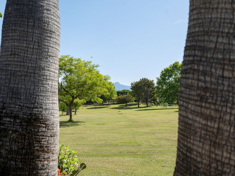 Apartment for Sale in Benamara, Malaga 14