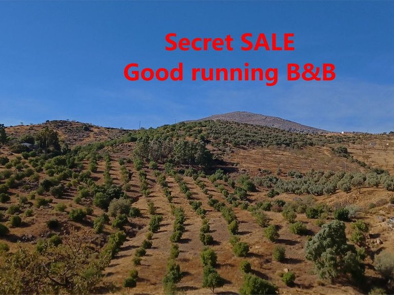 Villa for Sale in Málaga, Malaga 1