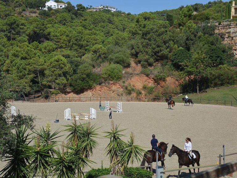 Villa for Sale in Benahavís, Malaga 5
