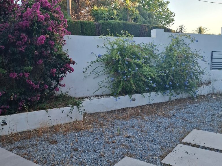 Villa for Sale in Benalmadena, Malaga 16