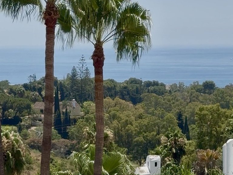 Apartment for Sale in The Golden Mile, Malaga 16
