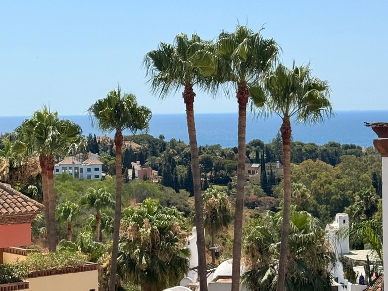 Apartment for Sale in The Golden Mile, Malaga 5