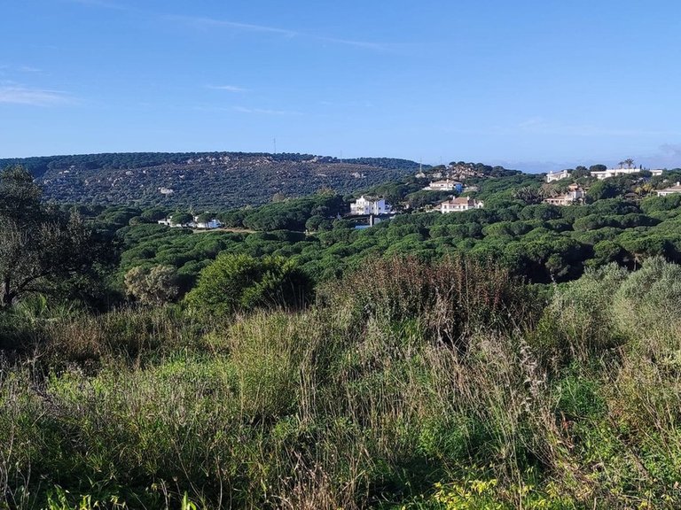 Plot for Sale in Sotogrande, Cadiz 4