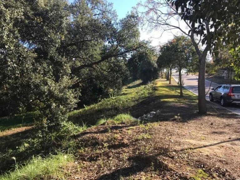 Plot for Sale in Sotogrande Alto, Cadiz 6