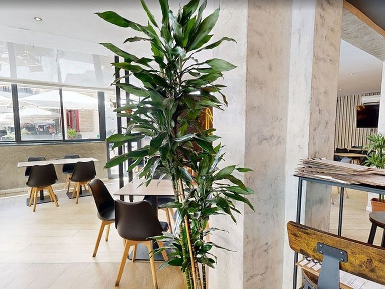 Commercial for Sale in Los Boliches, Malaga 6