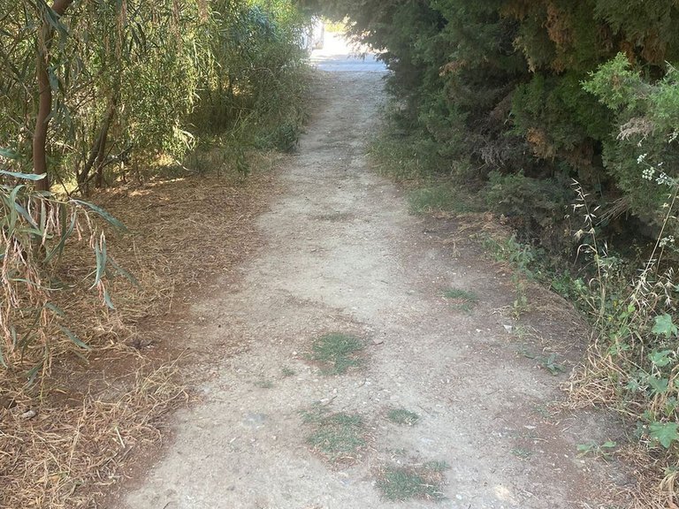 Plot for Sale in Manilva, Malaga 3