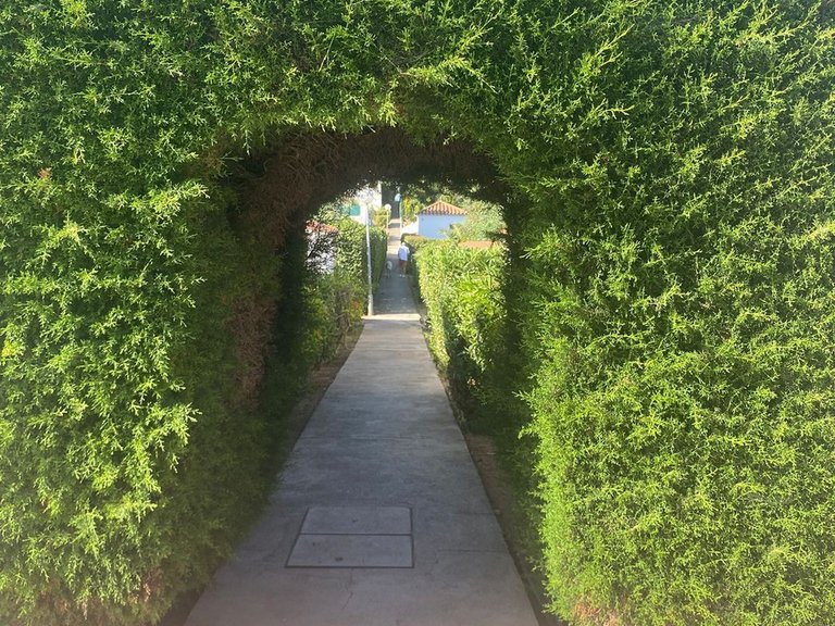 Plot for Sale in Manilva, Malaga 5
