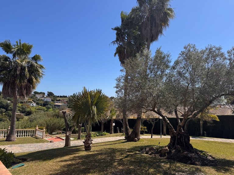 Villa for Sale in Estepona, Malaga 25