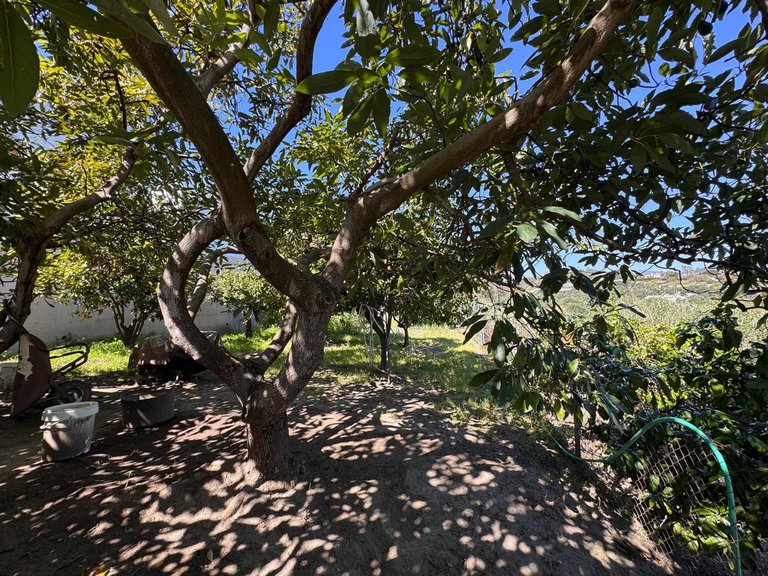 Villa for Sale in Estepona, Malaga 33
