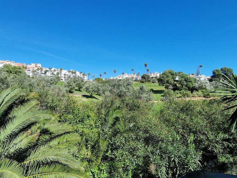 Villa for Sale in La Duquesa, Malaga 10