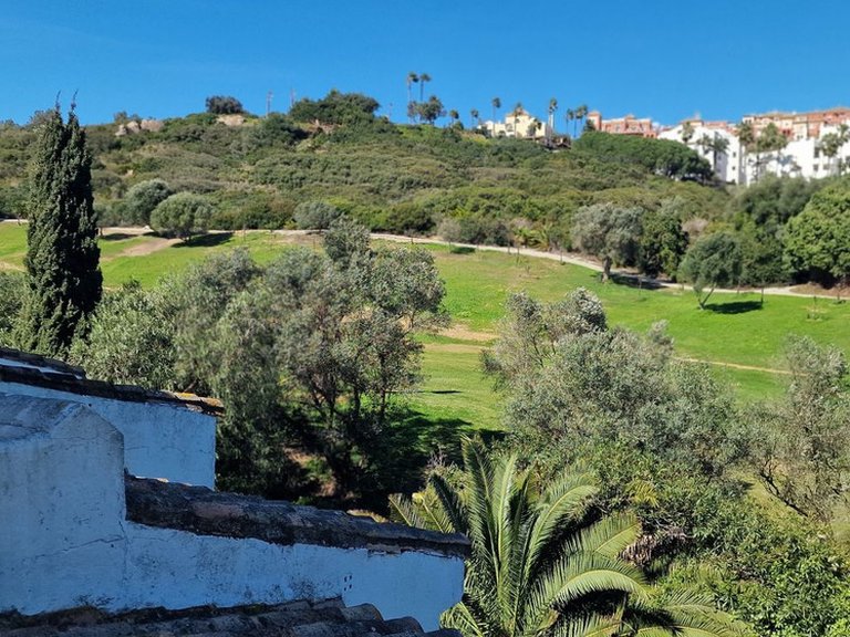 Villa for Sale in La Duquesa, Malaga 59